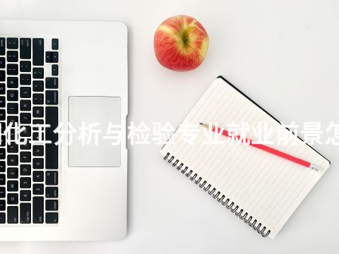贵阳化工分析与检验专业就业前景怎么样