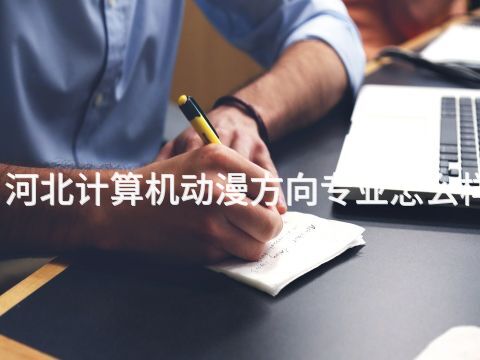 河北计算机动漫方向专业怎么样
