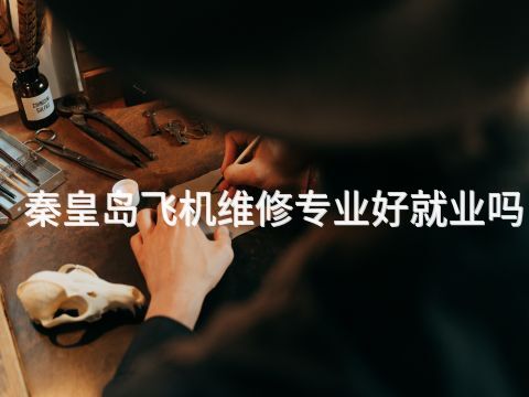 秦皇岛飞机维修专业好就业吗(图1) 秦皇岛飞机维修专业好就业吗(图1)