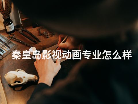 秦皇岛影视动画专业怎么样(图1) 秦皇岛影视动画专业怎么样(图1)