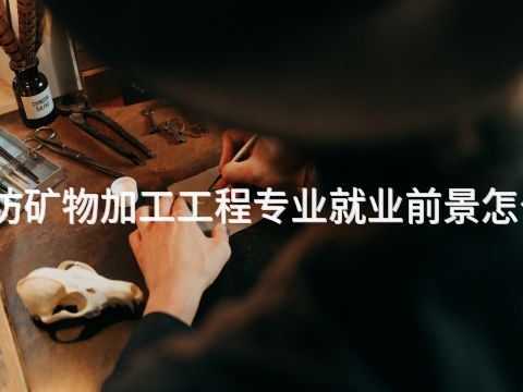 潍坊矿物加工工程专业就业前景怎么样