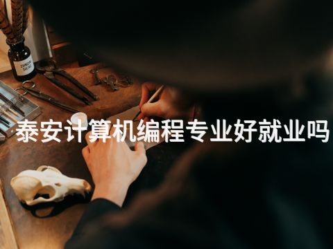 泰安计算机编程专业好就业吗