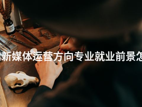 滨州新媒体运营方向专业就业前景怎么样