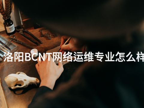 洛阳BCNT网络运维专业怎么样