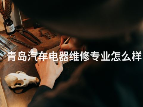 青岛汽车电器维修专业怎么样