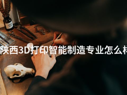 陕西3D打印智能制造专业怎么样(图1) 陕西3D打印智能制造专业怎么样(图1)