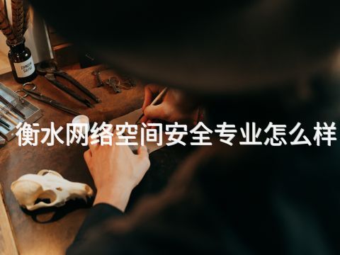 衡水网络空间安全专业怎么样