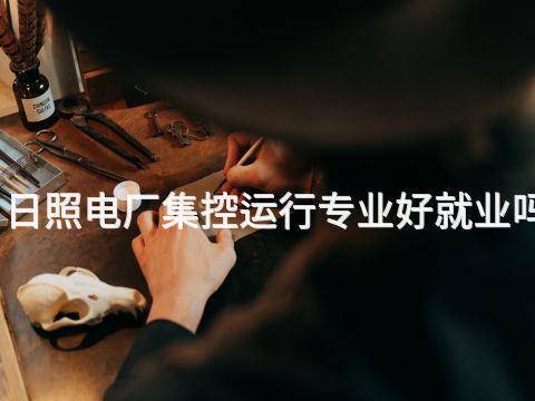 日照电厂集控运行专业好就业吗(图1)