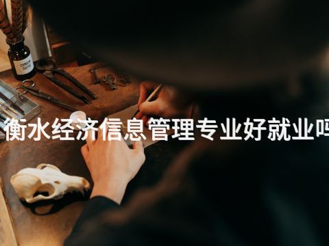 衡水经济信息管理专业好就业吗