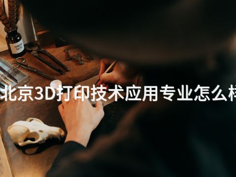 北京3D打印技术应用专业怎么样(图1) 北京3D打印技术应用专业怎么样(图1)