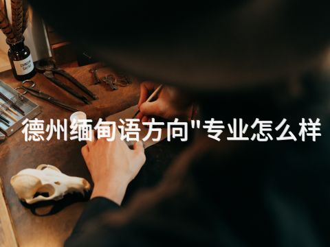 德州缅甸语方向"专业怎么样