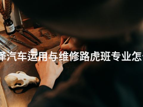 菏泽汽车运用与维修路虎班专业怎么样