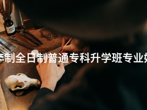 东营1年制全日制普通专科升学班专业好就业吗