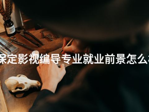 保定影視編導專業就業前景怎么樣