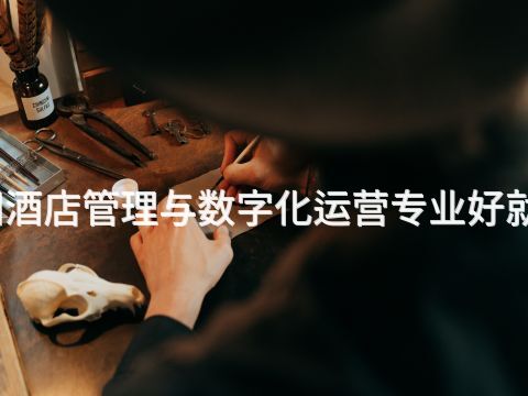 洛阳酒店管理与数字化运营专业好就业吗(图1) 洛阳酒店管理与数字化运营专业好就业吗(图1)