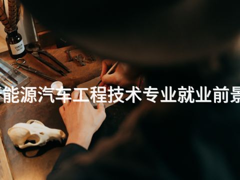 聊城新能源汽车工程技术专业就业前景怎么样