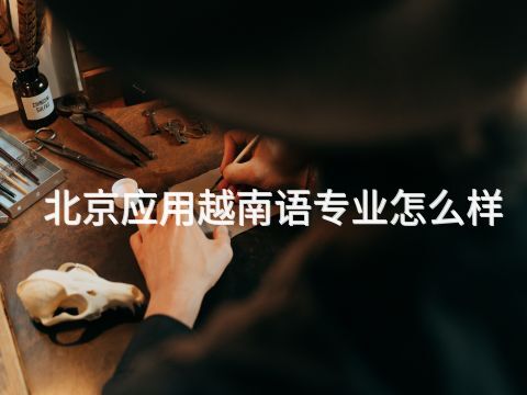 北京应用越南语专业怎么样