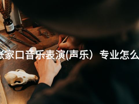 张家口音乐表演(声乐)专业怎么样(图1) 张家口音乐表演(声乐)专业怎么样(图1)