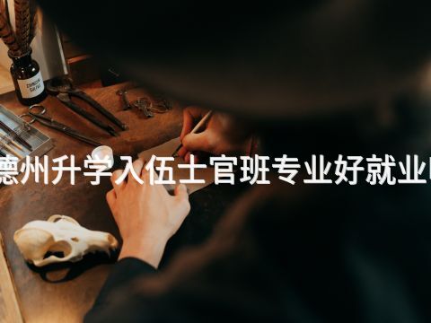 德州升学入伍士官班专业好就业吗