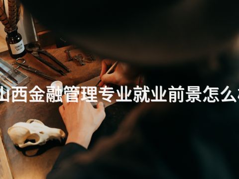山西金融管理专业就业前景怎么样(图1) 山西金融管理专业就业前景怎么样(图1)