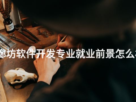 廊坊软件开发专业就业前景怎么样