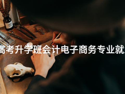 石家庄春季高考升学班会计电子商务专业就业前景怎么样