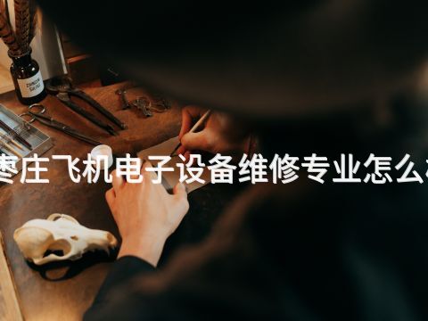 枣庄飞机电子设备维修专业怎么样