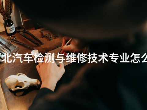 河北汽车检测与维修技术专业怎么样(图1) 河北汽车检测与维修技术专业怎么样(图1)