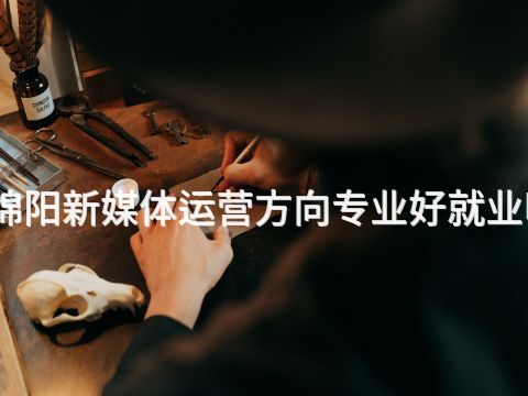 綿陽新媒體運營方向?qū)I(yè)好就業(yè)嗎
