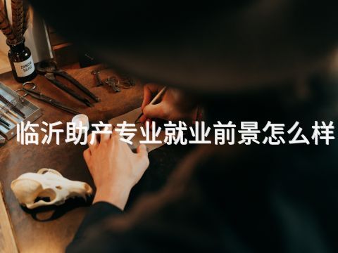 临沂助产专业就业前景怎么样(图1) 临沂助产专业就业前景怎么样(图1)