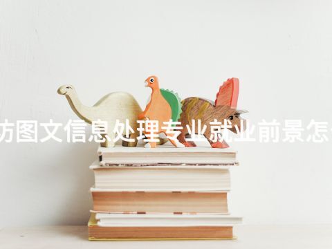 潍坊图文信息处理专业就业前景怎么样