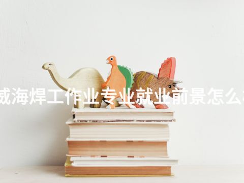 威海焊工作业专业就业前景怎么样(图1) 威海焊工作业专业就业前景怎么样(图1)
