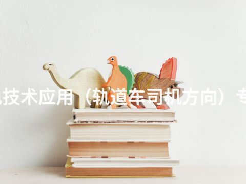 沧州机电技术应用（轨道车司机方向）专业怎么样