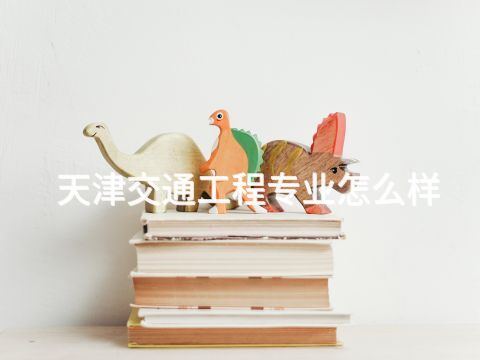天津交通工程专业怎么样