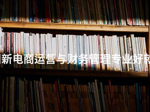 滨州新电商运营与财务管理专业好就业吗