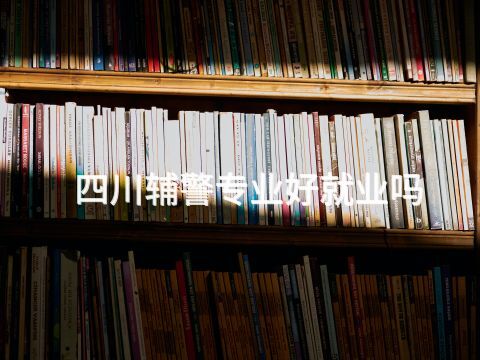 四川辅警专业好就业吗(图1)
