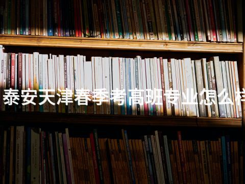 泰安天津春季考高班專業怎么樣