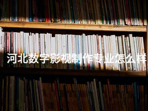 河北数字影视制作专业怎么样(图1) 河北数字影视制作专业怎么样(图1)