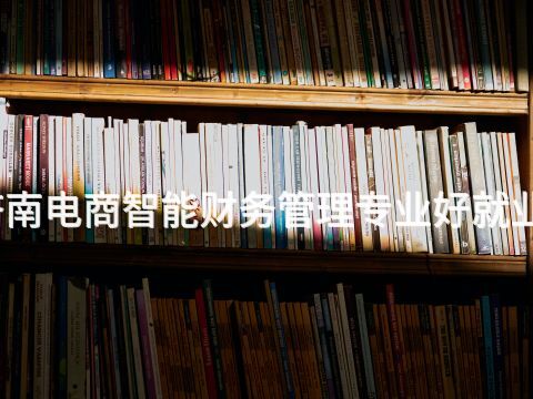 济南电商智能财务管理专业好就业吗