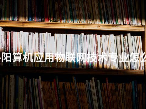 洛阳算机应用物联网技术专业怎么样
