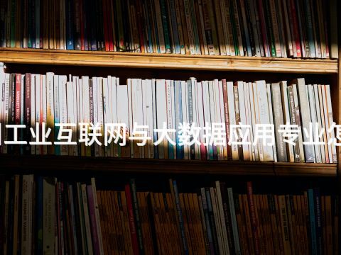 滨州工业互联网与大数据应用专业怎么样