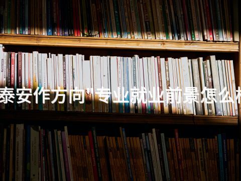 泰安作方向"专业就业前景怎么样