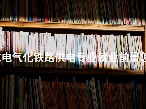 衡水电气化铁路供电专业就业前景怎么样