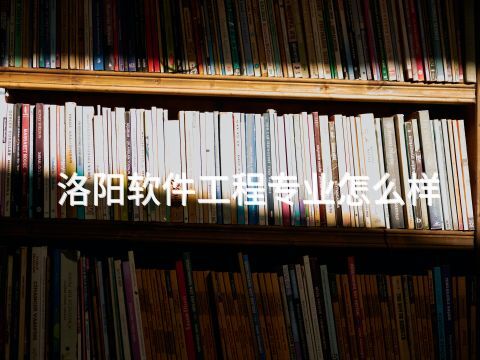 洛阳软件工程专业怎么样