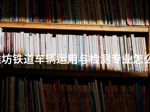 潍坊铁道车辆运用与检测专业怎么样(图1) 潍坊铁道车辆运用与检测专业怎么样(图1)