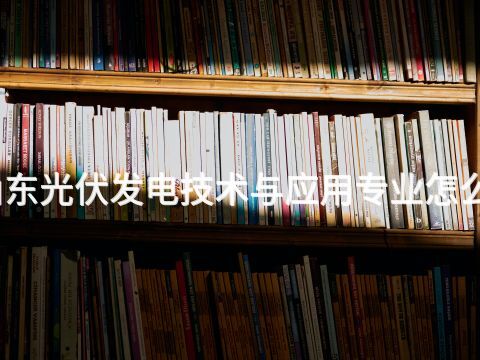 山东光伏发电技术与应用专业怎么样(图1) 山东光伏发电技术与应用专业怎么样(图1)