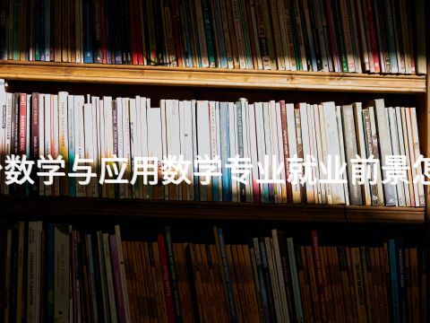 邢台数学与应用数学专业就业前景怎么样