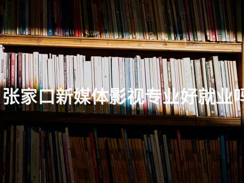 张家口新媒体影视专业好就业吗(图1)