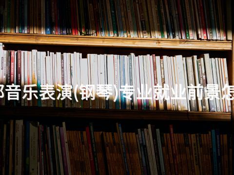 成都音乐表演(钢琴)专业就业前景怎么样