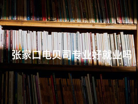 张家口电贝司专业好就业吗(图1) 张家口电贝司专业好就业吗(图1)